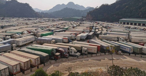 Thiệt hại hàng nghìn tỉ đồng vì nghẽn container, đề xuất đàm phán cấp cao
