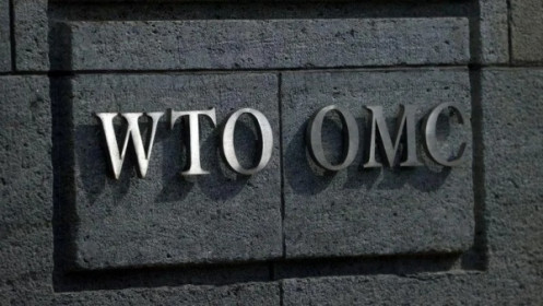 Kiện lên WTO, EU đòi Nga bồi thường gần 300 tỷ Euro vì "phân biệt đối xử" với hàng châu Âu
