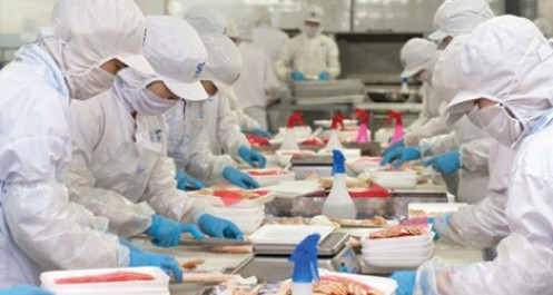 Hơn 1.000 mã sản phẩm nông, thủy sản Việt Nam được xuất sang Trung Quốc
