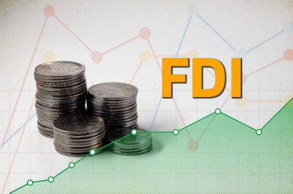 Thu hút vốn FDI năm 2021 đạt hơn 31,15 tỷ USD