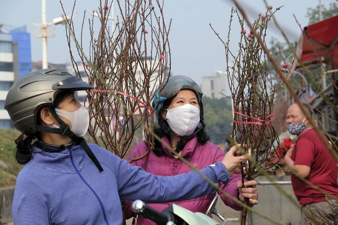 Đào Nhật Tân xuống phố chịu cảnh đìu hiu, nông dân thà ế, quyết không bán cho người ép giá