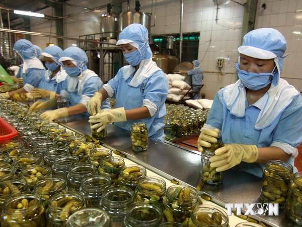 Hiệp định RCEP thực thi sẽ giúp thiết lập thị trường xuất khẩu ổn định lâu dài cho Việt Nam