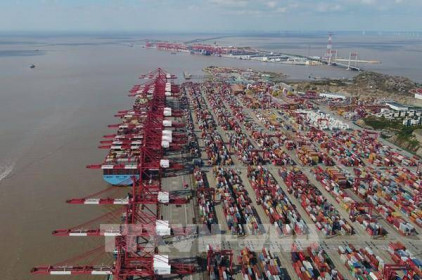 Thượng Hải tiếp tục dẫn đầu thế giới về số lượng container qua cảng