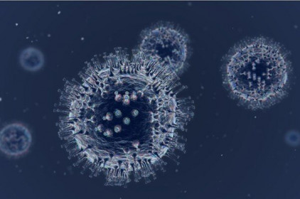Tế bào T "khắc tinh" của biến thể Omicron?