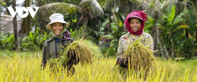 Campuchia xuất khẩu nông sản “bội thu”