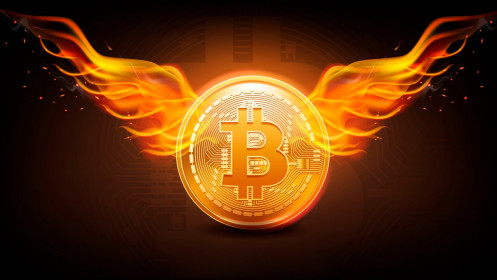 76% nguồn cung Bitcoin đang "ngủ say", tổ chức sôi động trở lại - Tại sao BTC vẫn trì trệ?