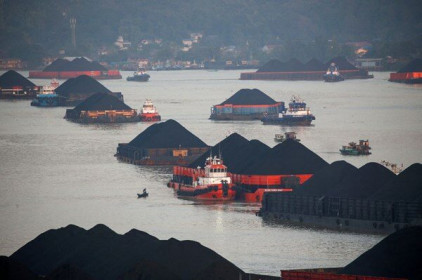 Các công ty than của Indonesia “loay hoay” trước lệnh cấm xuất khẩu