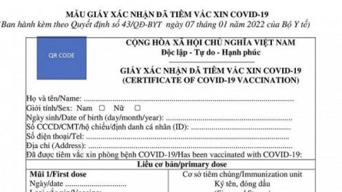 Covid-19 ở Việt Nam sáng 9/1: TP. Hồ Chí Minh "đổi màu", mẫu giấy xác nhận tiêm vaccine có gì đặc biệt?