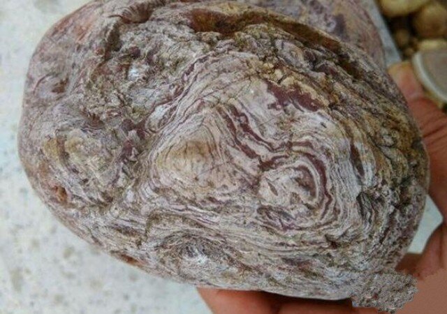 Đem khúc gỗ mục dính đầy bùn đất về nhà, người nông dân "choáng váng" phát hiện kho báu