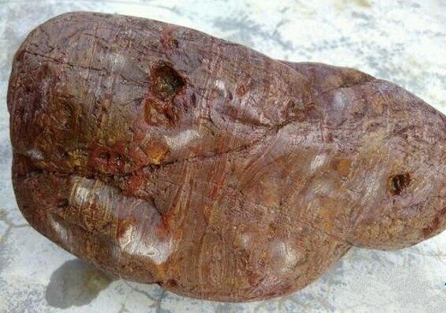 Đem khúc gỗ mục dính đầy bùn đất về nhà, người nông dân "choáng váng" phát hiện kho báu