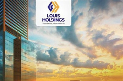 LDP lên kế hoạch phát hành cổ phiếu riêng lẻ cho Louis Holdings với giá chỉ 10,000 đồng/cp