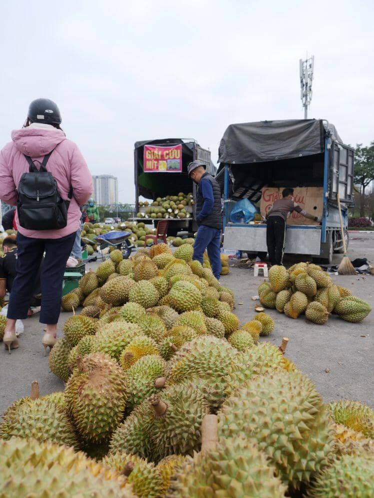 Nông sản giá rẻ như cho trên vỉa hè Hà Nội