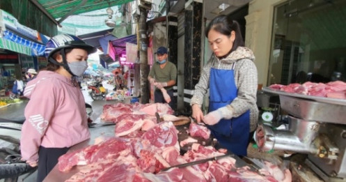 Giá thịt lợn chạm đáy, ngành chăn nuôi 'lao đao'