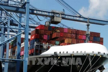 Doanh nghiệp vận tải biển kỳ vọng sự phát triển bứt phá mới