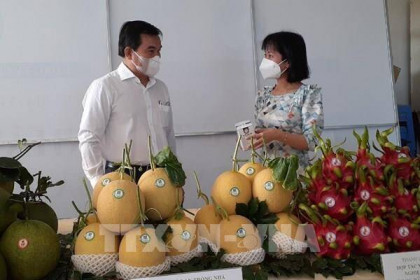 Bà Rịa-Vũng Tàu xúc tiến đầu tư nông nghiệp công nghệ cao