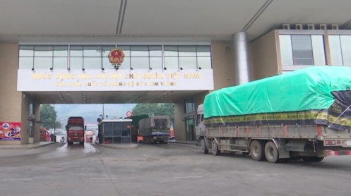 Lào Cai tạm dừng tiếp nhận xe chở trái cây tươi xuất khẩu Trung Quốc