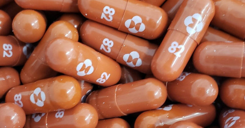 Công ty tại Việt Nam sẽ sản xuất thuốc điều trị Covid-19 với giá thấp?