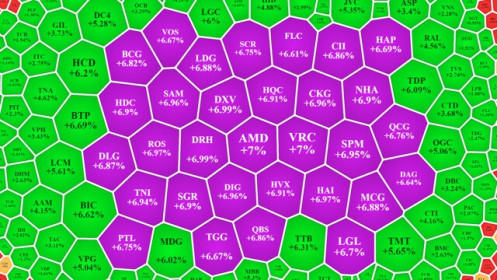 Lại đua giá trần, “cơn say” chưa tỉnh?