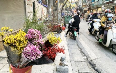 Vì sao hoa Trung Quốc 'lấn lướt' trên thị trường Hà Nội?