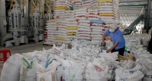 Xuất cấp hơn 13.616 tấn gạo dự trữ quốc gia hỗ trợ nhân dân 9 tỉnh dịp Tết