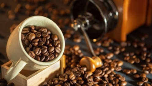 Giá cà phê hôm nay 24/1: Mất mốc tâm lý quan trọng, giá robusta nằm ở vùng "chênh vênh", mở đường cho một đợt giảm giá?