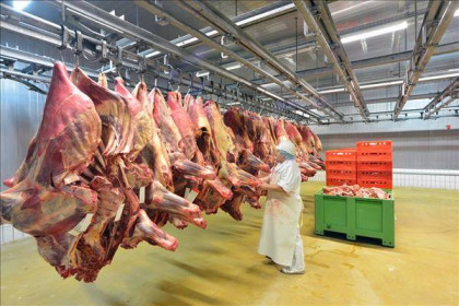 Ngành chế biến thịt Australia tiếp tục chịu ảnh hưởng do biến thể Omicron
