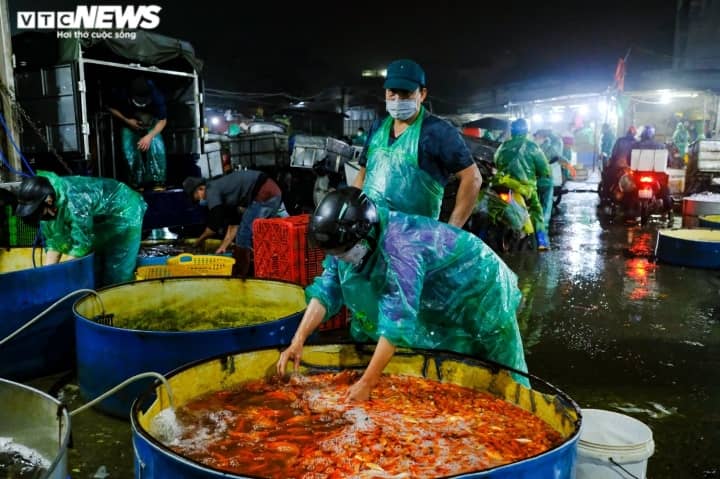 Cá chép tăng giá mạnh trong ngày tiễn ông Công, ông Táo lên trời