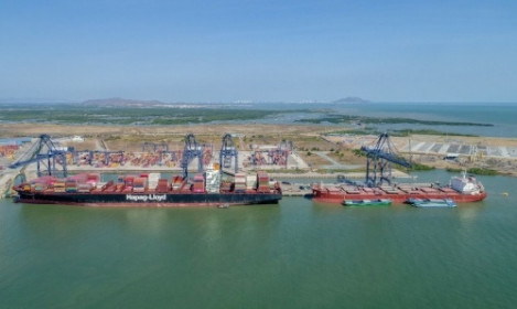 Doanh nghiệp cần cơ chế ưu đãi đặc thù cho thành lập đội tàu container Việt Nam