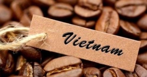 Giá cà phê hôm nay 27/1, Điều chỉnh mạnh trên cả hai sàn, cà phê Việt có cơ hội mở rộng thị phần tại EU