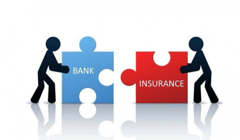 Kinh doanh bảo hiểm đóng góp tỷ trọng lớn vào lợi nhuận ngân hàng