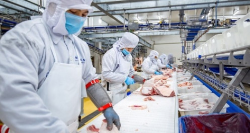 Masan Meatlife (MML) báo lãi tăng hơn 154%