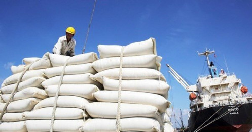 Gạo Việt được đón nhận tại châu Âu