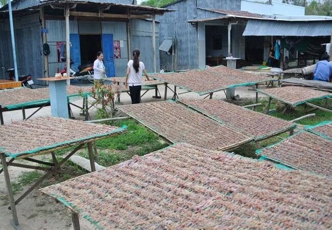 Đặc sản "vũ nữ chân dài” hút khách, giá nửa triệu đồng vẫn "cháy hàng”