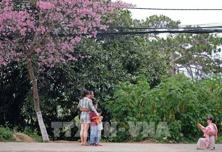Cách mạng số ngành du lịch - Bài 1: Những bài toán khó của chuyển đổi số