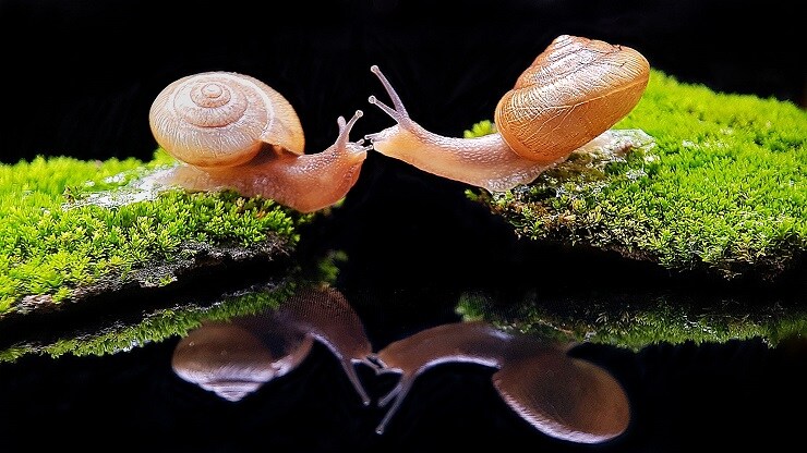 Gom đồ cũ về "nghịch”, 7x Hà Nội thu hàng chục triệu đồng mỗi tháng