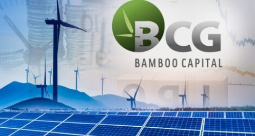 Bamboo Capital báo lãi tăng 265%, bắt đầu ghi nhận lợi nhuận từ lĩnh vực bảo hiểm