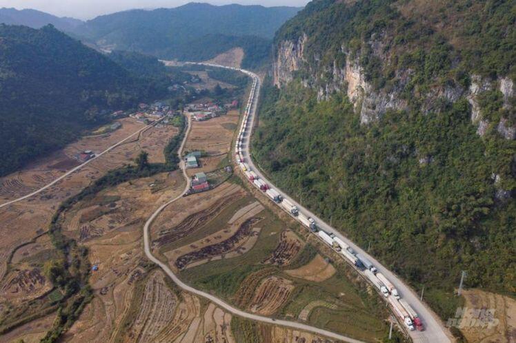 Xuất nhập khẩu và logistics Việt Nam sẽ tiếp tục bứt phá