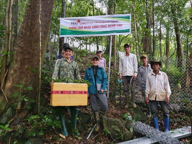 Tập đoàn MHG khẳng định tiềm năng từ thương hiệu sâm Ngọc Linh