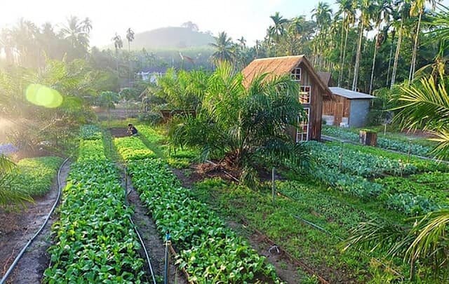 Xu hướng đầu tư bất động sản năm Nhâm Dần