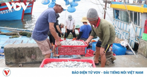 Ủy ban Châu Âu (EC) sẽ kiểm tra việc khắc phục “thẻ vàng” thủy sản của Việt Nam 