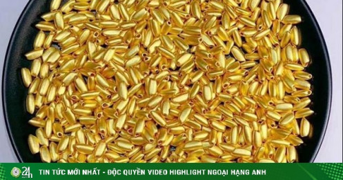 "Sốt" hạt gạo vàng giá 1 triệu đồng/hạt, nhà giàu "vung tay” chia nhau cả tấn