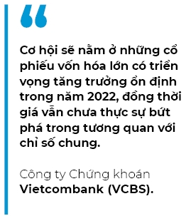 Cơ hội đầu tư nằm ở cổ phiếu vốn hóa lớn