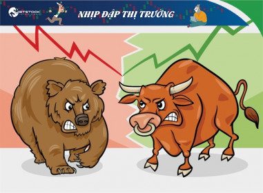 Nhịp đập thị trường 10/02: Cổ phiếu xây dựng lại bùng lên, VN-Index bị kìm bởi Large Cap