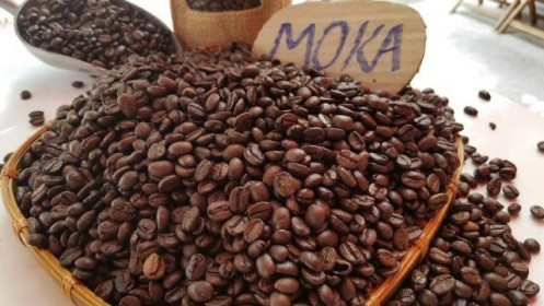 Giá cà phê hôm nay 10/2: Arabica tăng mạnh, lên mức cao nhất 10 năm