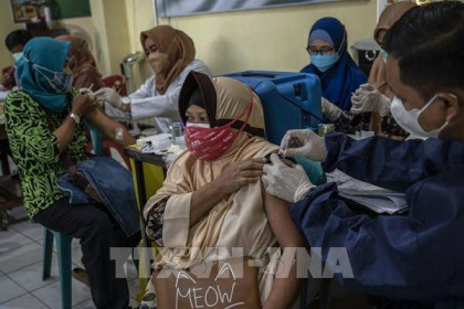 Indonesia dự kiến sử dụng vaccine COVID-19 nội địa