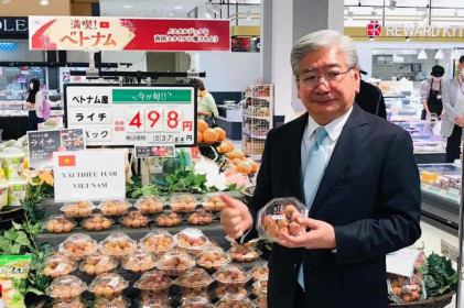 Nhật Bản 'rộng cửa' đón nhận nông sản Việt Nam
