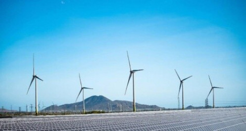 Dừng cấp Chủ trương đầu tư dự án điện gió, điện mặt trời chưa triển khai