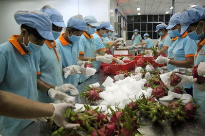 Hơn 1.600 mã nông sản, thực phẩm Việt Nam được xuất khẩu sang Trung Quốc