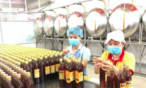 Doanh nghiệp xuất khẩu mật ong Việt bị “chặn đường” vào Mỹ