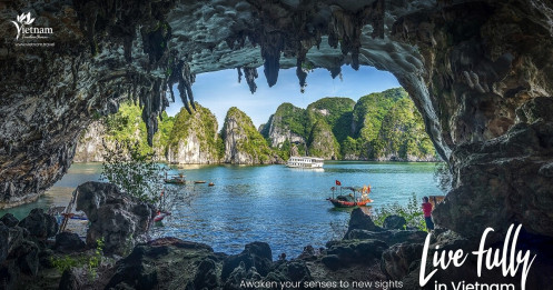 Khách quốc tế bất ngờ 'đua nhau' tìm kiếm thông tin du lịch Việt Nam